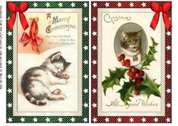 Christmas Vintage Kittens