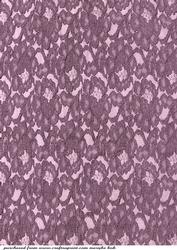 Lace Background
