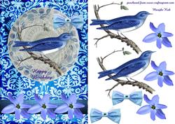 Bleu Bird
