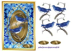 Beautiful Birds
