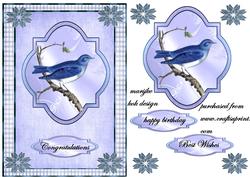 Beautiful Bleu Bird