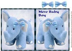 New Baby Boy