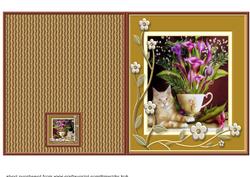 Cat with Calla's