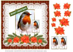 Robin in Poinsettias