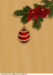 Background Bauble/poinsettia