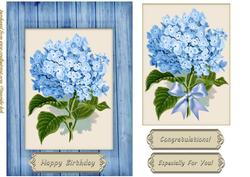 Beautiful Vintage Hortensia in Bleu