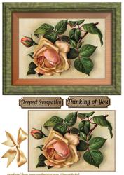 Cream Vintage Roses Deepest Sympathy