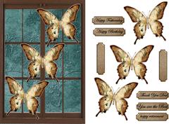 Birthday Male Butterflie Door