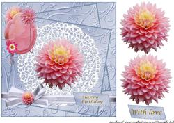 Beautiful Dahlia