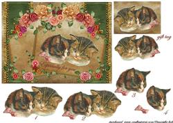Vintage Cats in Embroidery House -