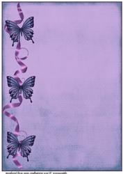 Beautiful Purple Butterflies