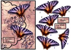 Envelop Butterflie