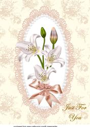 A4 Lillies in Soft Pink