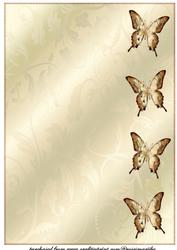 Damask Beauty