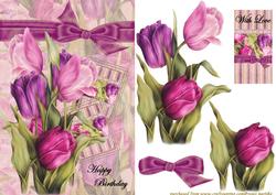 Tulips from Amsterdam - 
