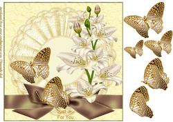 Cream and Golden Beauty