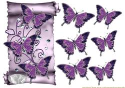 Purple Butterflies on a Scroll