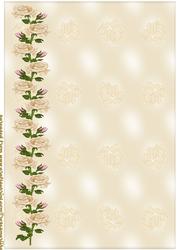 Background Cream Roses