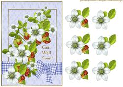 Get Well Soon Strawberries