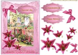 Pink Beauty Rose Cottage