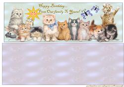 Large Dl Card Kittens