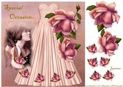 Special Day Dress