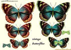 Vintage Butterflies 3D