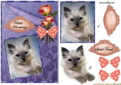 Cute Kitten in Peach and Lilac