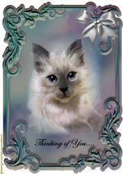 Thinking of You -