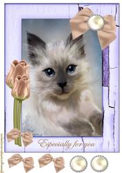 Especially for You