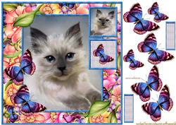 Bleu Eyes -