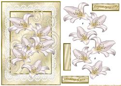 Lilies Sympathy