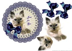 Cute Kitten Topper