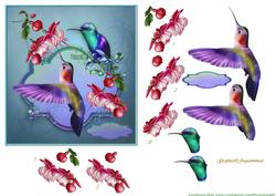 Sweet Hummingbirds -