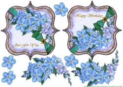 Toppers Forget Me Nots