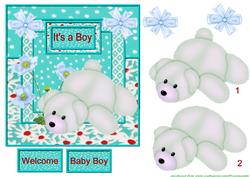 It's a Boy!
