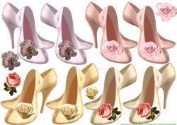 Shoes for the Lady's