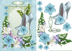 Cinderella Shoes