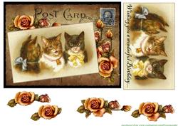 Vintage Kittens Birthday Postcard