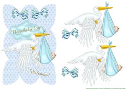 Birth Stork Baby Boy