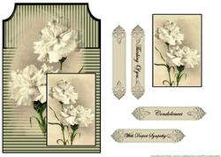 Sympathy Card
