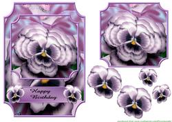 Pansy Parade
