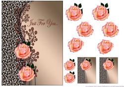 Brown Beauty,peach Roses
