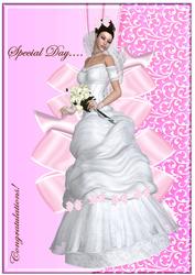 A4 the Bride in Pink