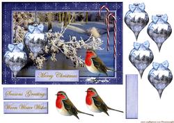 Winter Robin Scene