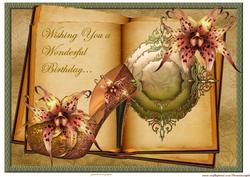 Elegant Shoes & Orchids Book