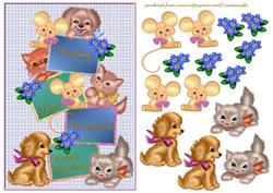 Happy Birthday Kittens,puppys and Mouses