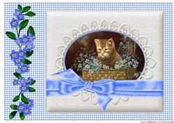 A4 Forget Me Nots & Vintage Kitten