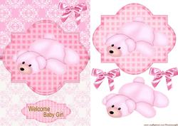 Welcome Baby Girl