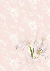 Pastel Lillies A4 Background